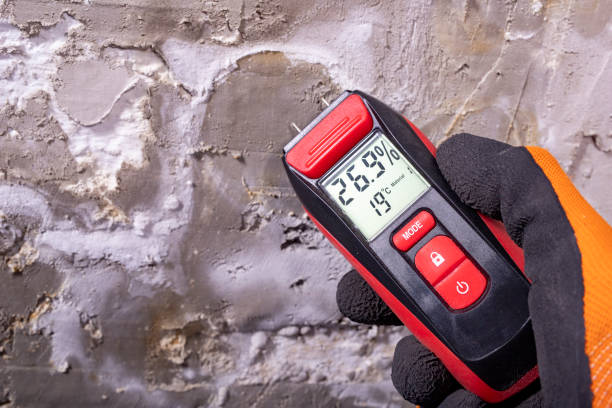 Best Post-Flood Mold Remediation in Blountstown, FL